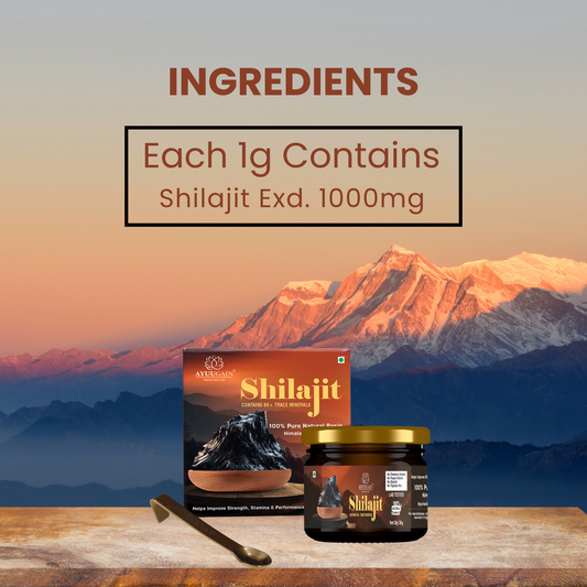 Himalayan Shilajit Resin – 30gm
