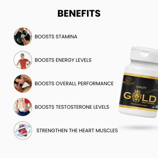 Vitality Gold Shilajit Multivitamin for Men - 60 Capsules