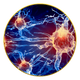 Supports Nerve & Neuro Health