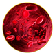 Improves Blood Circulation