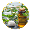 Eucalyptus Oil