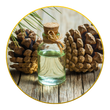 Turpentine Oil