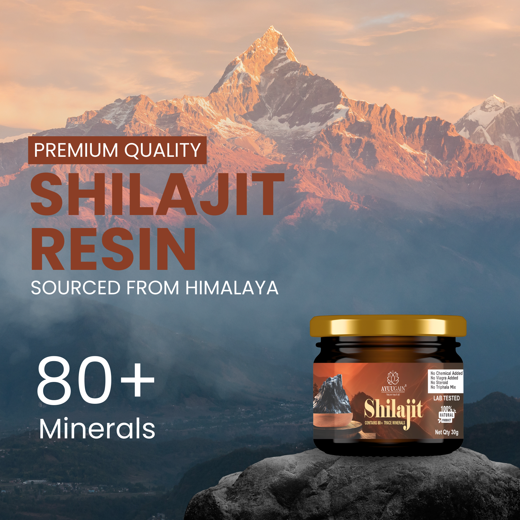 Pure Himalayan Shilajit Resin – 30gm
