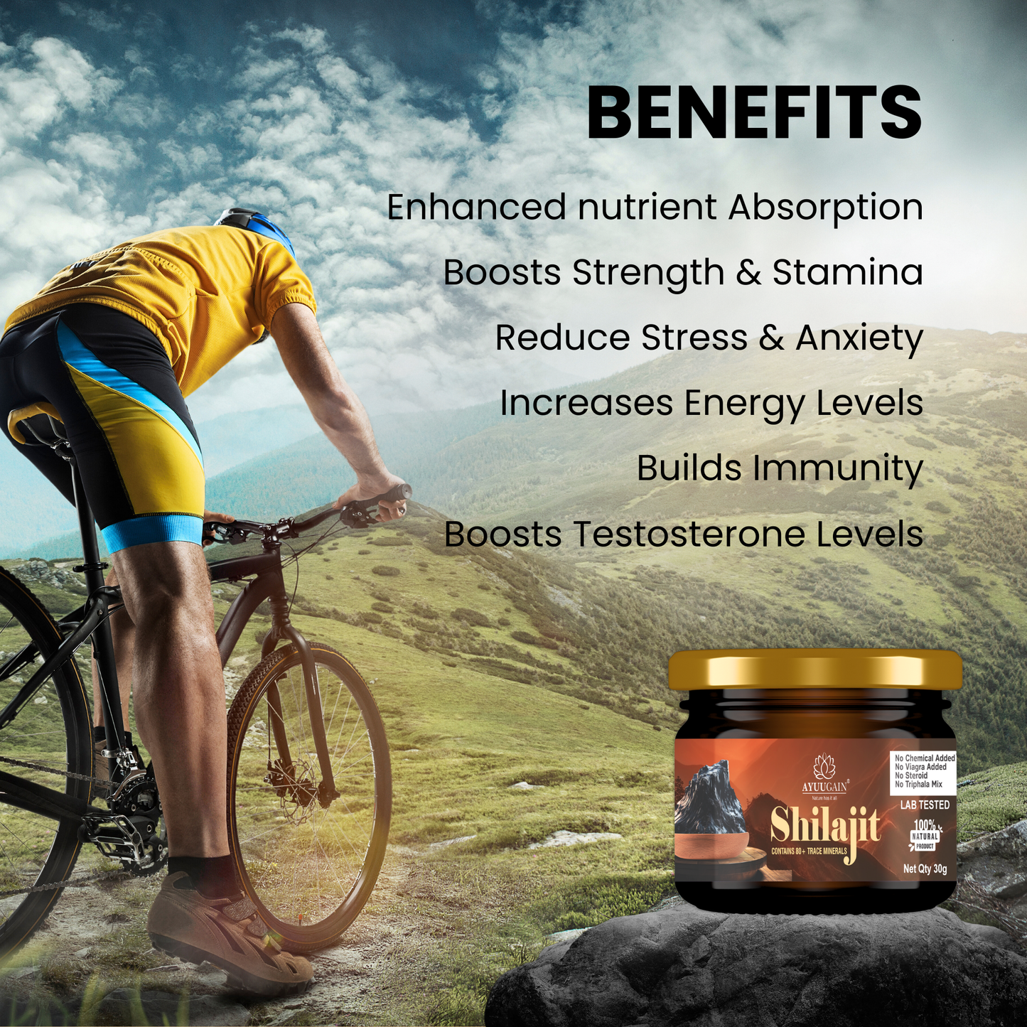 Himalayan Shilajit Resin – 30gm