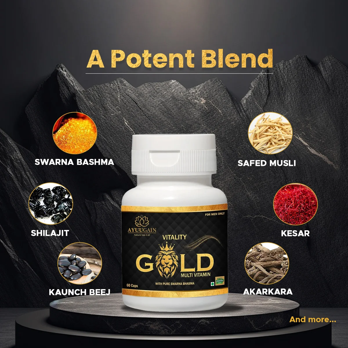 Vitality Gold Shilajit Multivitamin for Men - 60 Capsules