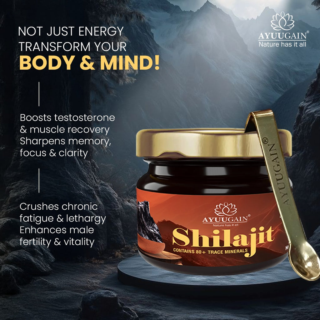 Pure Himalayan Shilajit Resin - 30gm