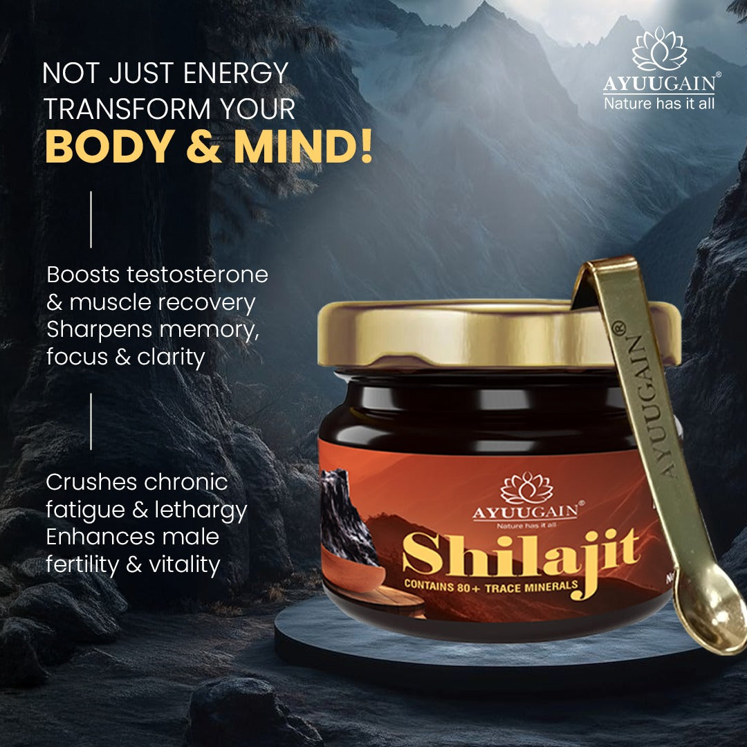 Pure Himalayan Shilajit Resin - 30gm