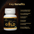 Vitality Gold Shilajit Multivitamin for Men - 60 Capsules