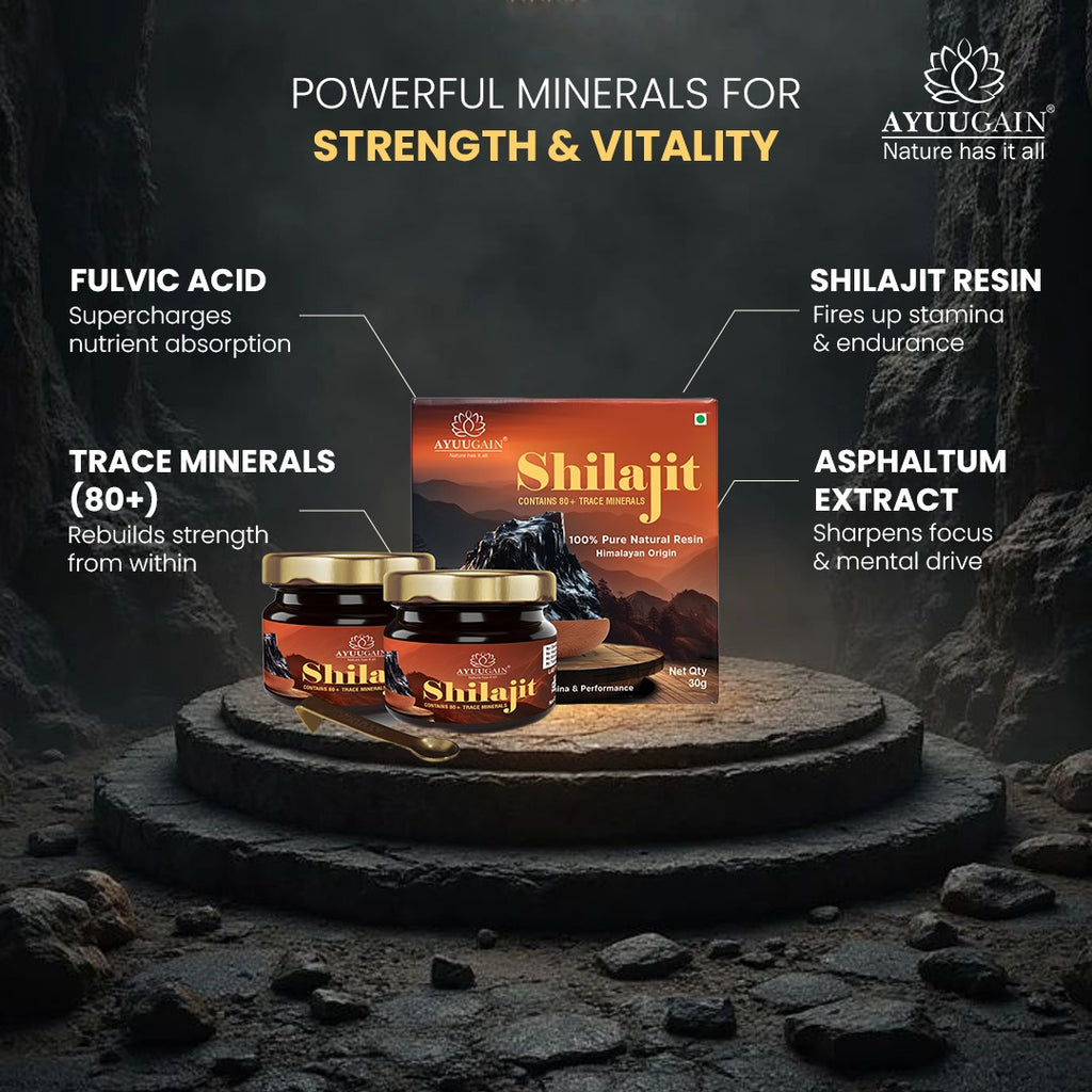 Pure Himalayan Shilajit Resin - 30gm