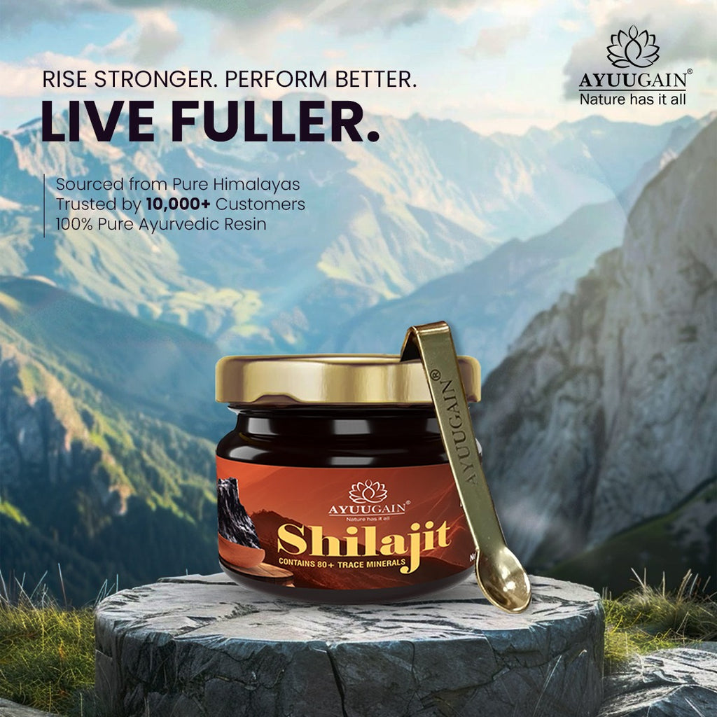 Pure Himalayan Shilajit Resin - 30gm