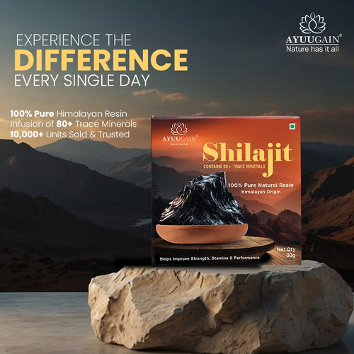 Pure Himalayan Shilajit Resin - 30gm
