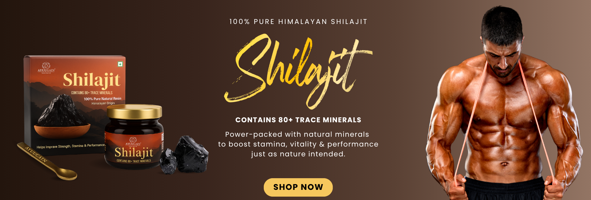 Ayuugain Shilajit