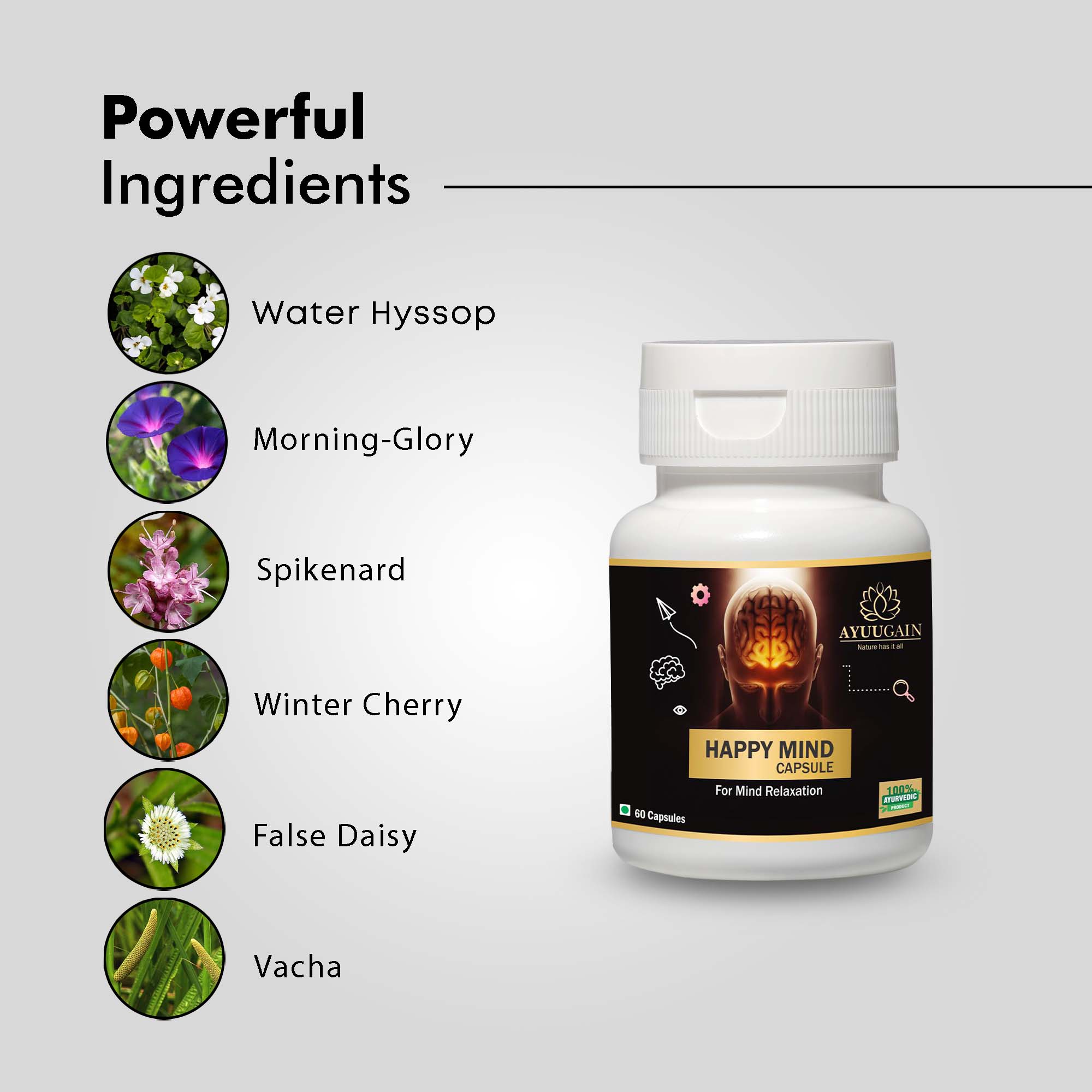 Happy Mind Capsules For Ayurvedic Stress Relief, Anxiety Control & Mental Calm Support