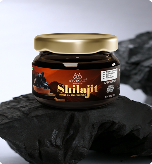 Shilajit Image