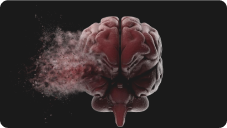 Remove brain fog by restoring neurotransmitter balance
