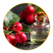 Wintergreen Oil
