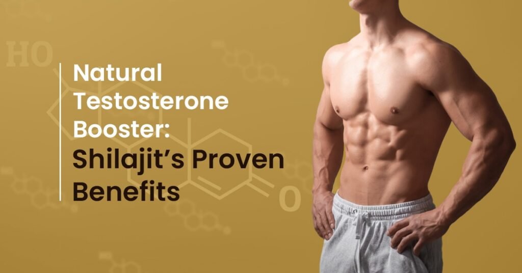 Shilajit Natural Testosterone Boost