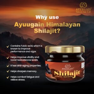 Ayuugain Shilajit Original Himalayan Resin